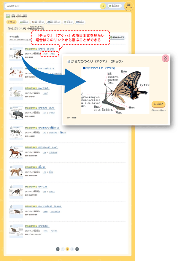 からだのつくり_画像資料を検索