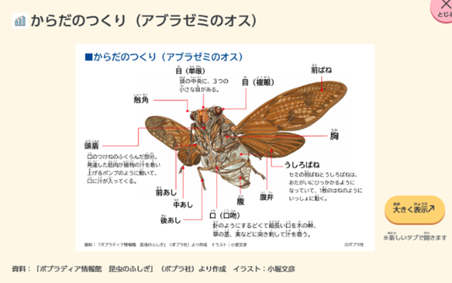 画像・資料の使い方_画像例